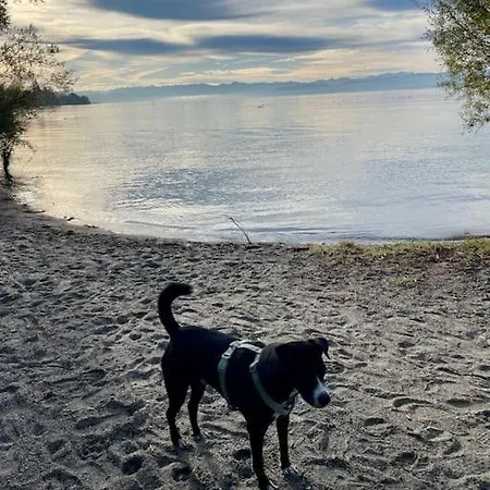 Chardonnay In Seenaehe *