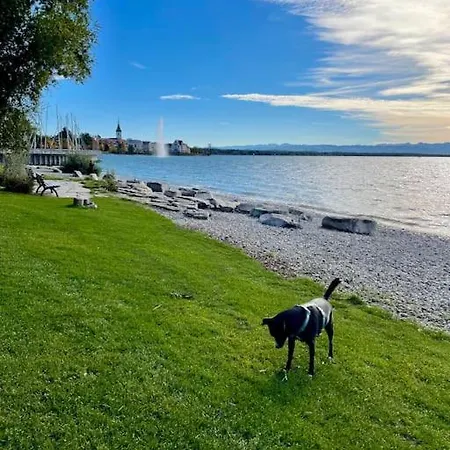 Chardonnay In Seenaehe 腓特烈港