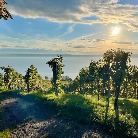 Chardonnay In Seenaehe Appartamento *