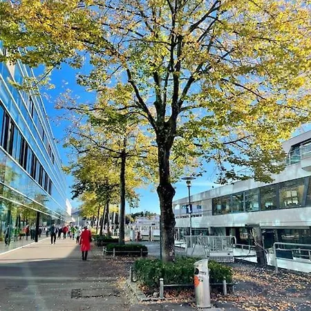 Chardonnay In Seenaehe