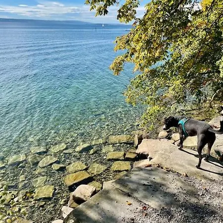 Chardonnay In Seenaehe Διαμέρισμα Φριντρισχάφεν