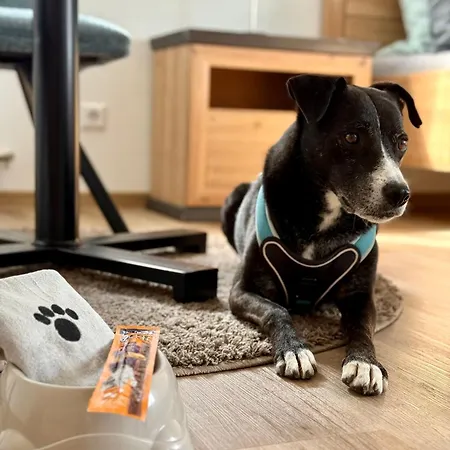 Chardonnay In Seenaehe