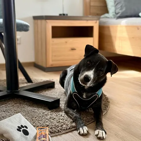 Chardonnay In Seenaehe * 腓特烈港